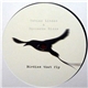 Tobias Linden & Riccardo Rizza - Birdies That Fly