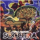 Stepak-Takraw - Socotra