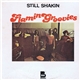 Flamin Groovies - Still Shakin